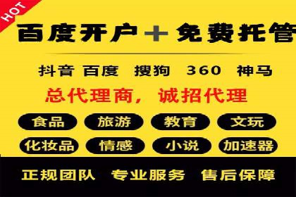 SEM托管服务案例解析：提升企业在线曝光